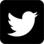 twitter page libertine
